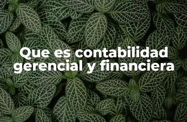 Que es Contabilidad Gerencial y Financiera