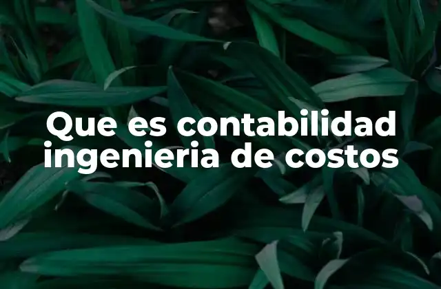 Que es Contabilidad Ingenieria de Costos