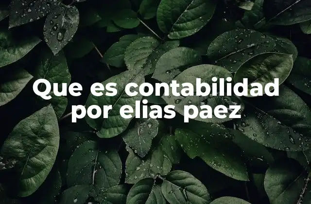 Que es Contabilidad por Elias Paez