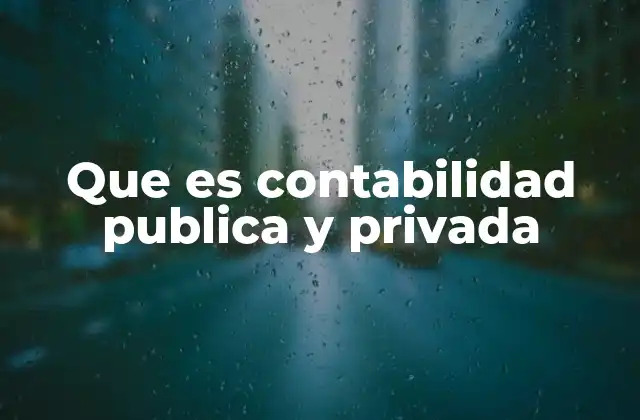 Diferencias entre contabilidad pública y privada