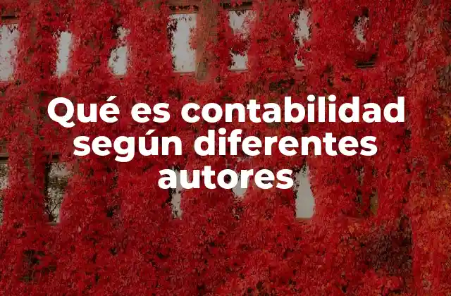 Qué es Contabilidad según Diferentes Autores 2 La contabilidad como herramienta de gestión según los estudiosos
