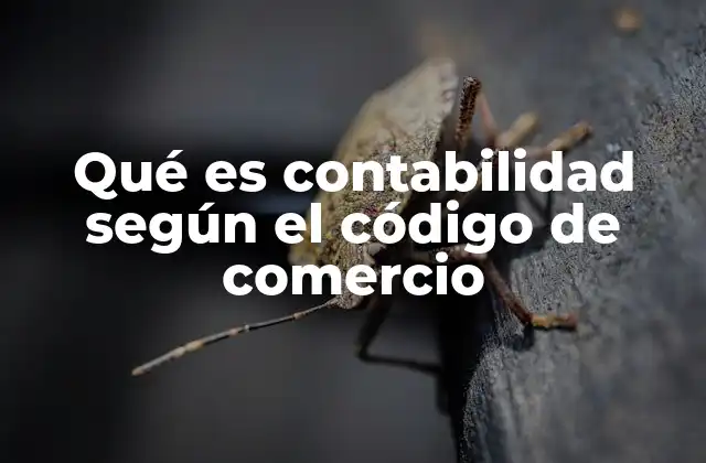 Qué es Contabilidad según el Código de Comercio