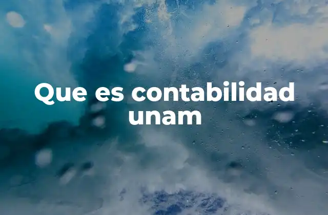 Que es Contabilidad Unam