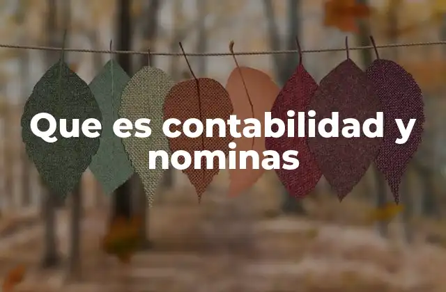 Que es Contabilidad y Nominas
