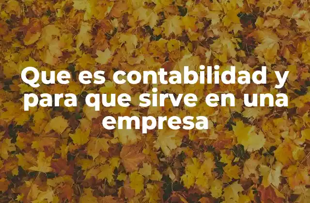 Que es Contabilidad y para que Sirve en una Empresa