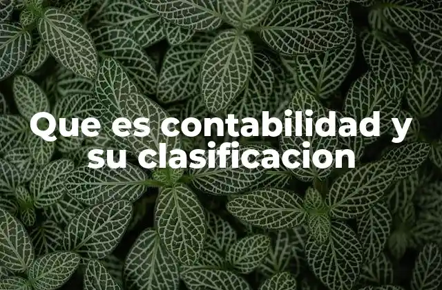 Que es Contabilidad y Su Clasificacion