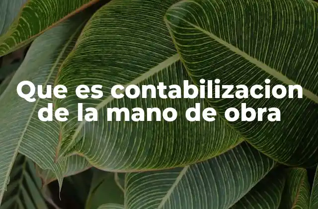 Que es Contabilizacion de la Mano de Obra 2 La importancia de registrar los costos laborales en la contabilidad