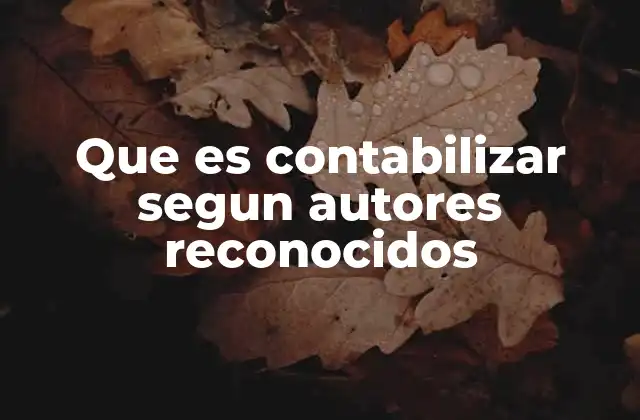 Que es Contabilizar Segun Autores Reconocidos