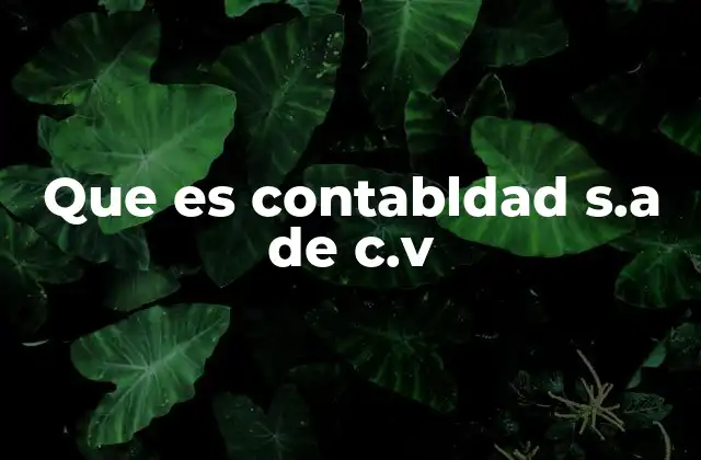 Que es Contabldad S.a de C.v