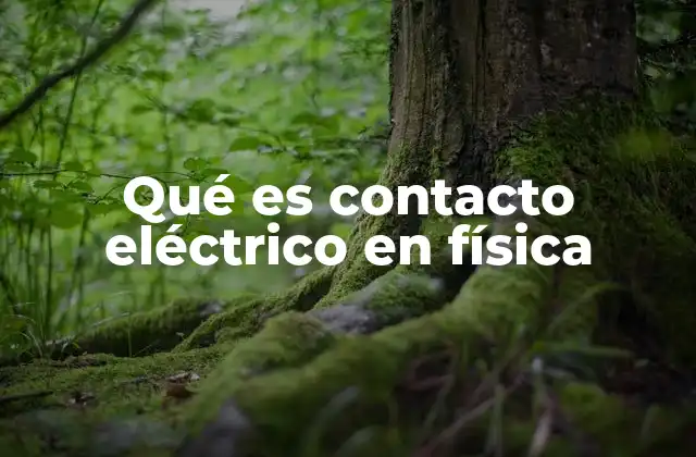 La importancia del contacto en circuitos eléctricos
