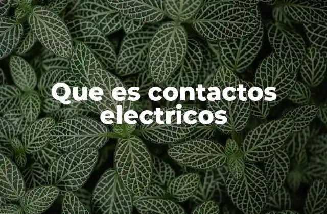 Que es Contactos Electricos 2 La importancia de los contactos en sistemas eléctricos