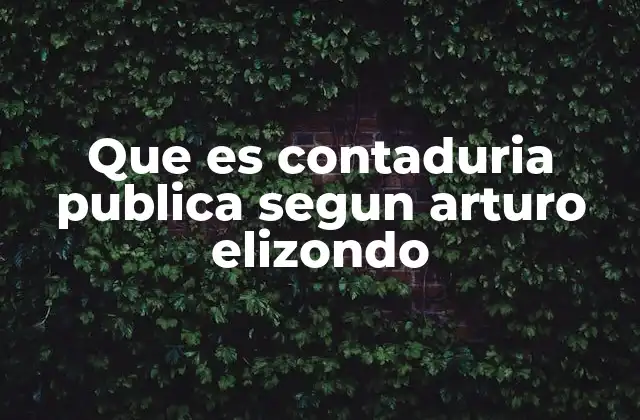 Que es Contaduria Publica Segun Arturo Elizondo