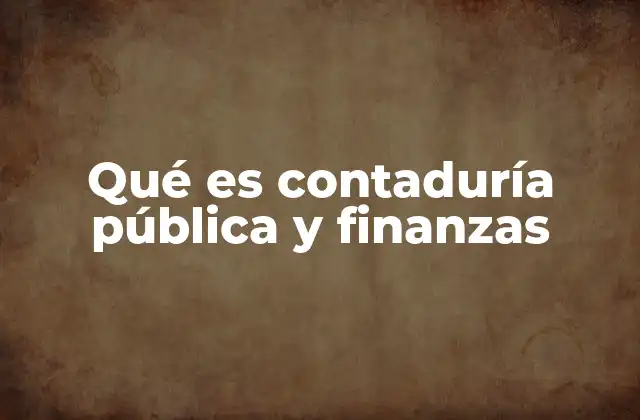 Qué es Contaduría Pública y Finanzas