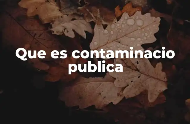 Que es Contaminacio Publica