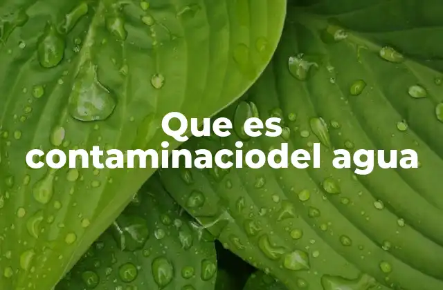 Que es Contaminaciodel Agua