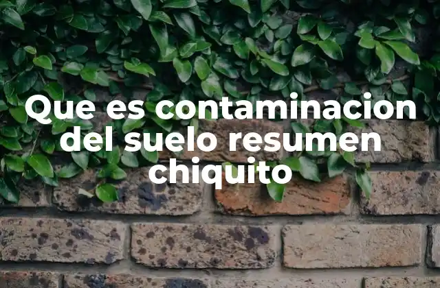 Que es Contaminacion Del Suelo Resumen Chiquito
