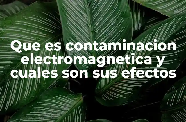 Que es Contaminacion Electromagnetica y Cuales Son Sus Efectos