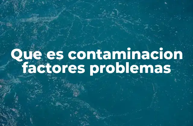 Que es Contaminacion Factores Problemas