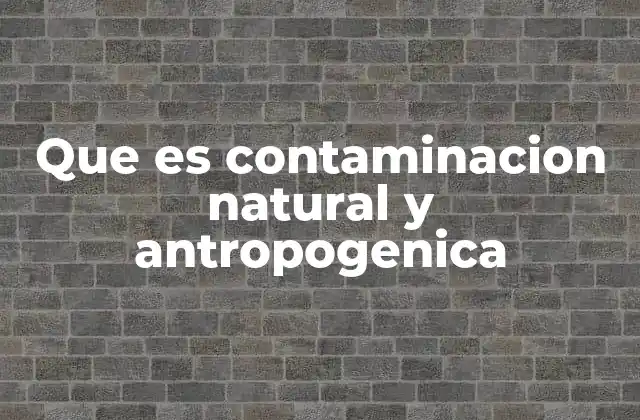 Que es Contaminacion Natural y Antropogenica