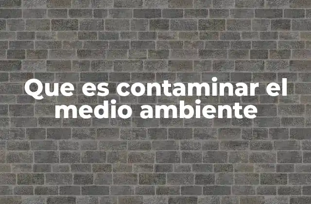 Que es Contaminar el Medio Ambiente