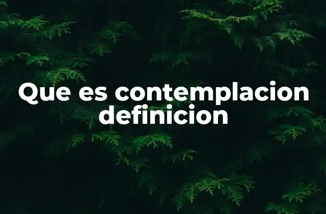 Que es Contemplacion Definicion