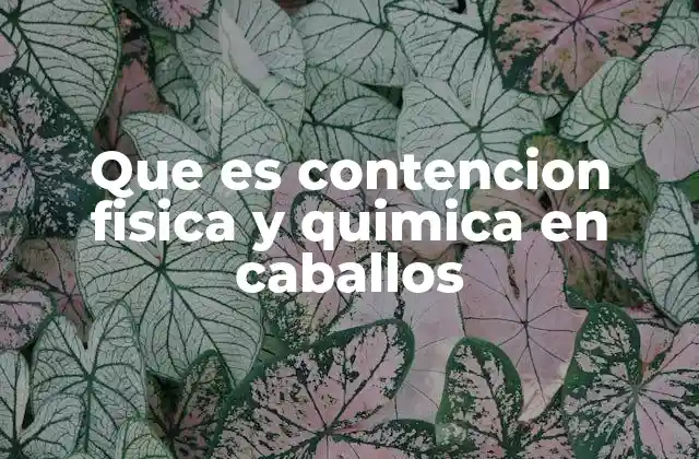 Que es Contencion Fisica y Quimica en Caballos