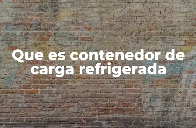 Que es Contenedor de Carga Refrigerada 2 La importancia de mantener la cadena de frío en el transporte