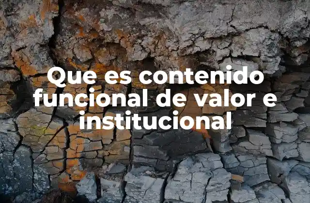 Que es Contenido Funcional de Valor e Institucional