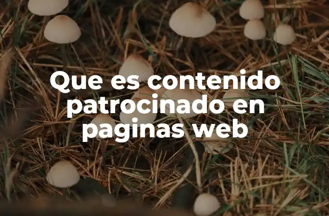Que es Contenido Patrocinado en Paginas Web