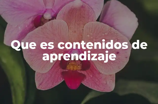 Que es Contenidos de Aprendizaje