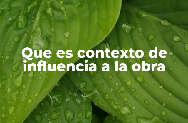 Que es Contexto de Influencia a la Obra