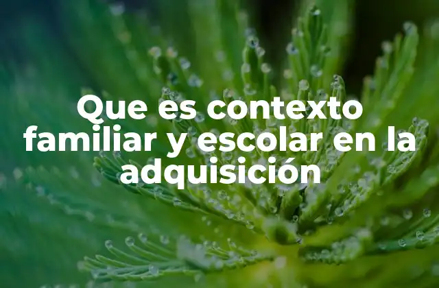 Que es Contexto Familiar y Escolar en la Adquisición