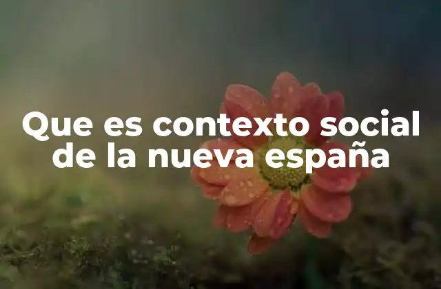 Que es Contexto Social de la Nueva España