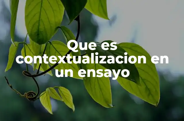 Que es Contextualizacion en un Ensayo