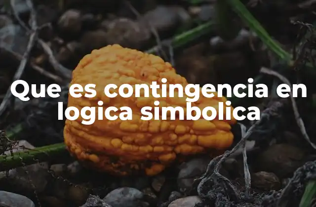 Que es Contingencia en Logica Simbolica