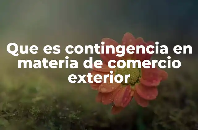 Que es Contingencia en Materia de Comercio Exterior