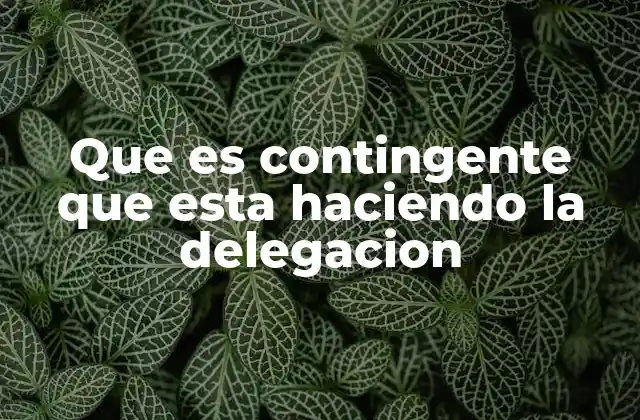 Que es Contingente que Esta Haciendo la Delegacion