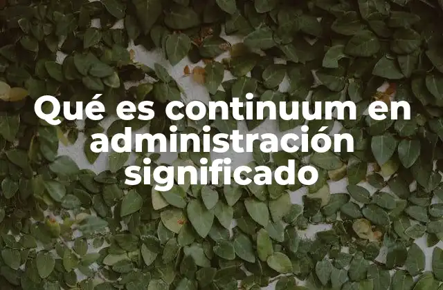 El continuum como herramienta conceptual en el análisis organizacional