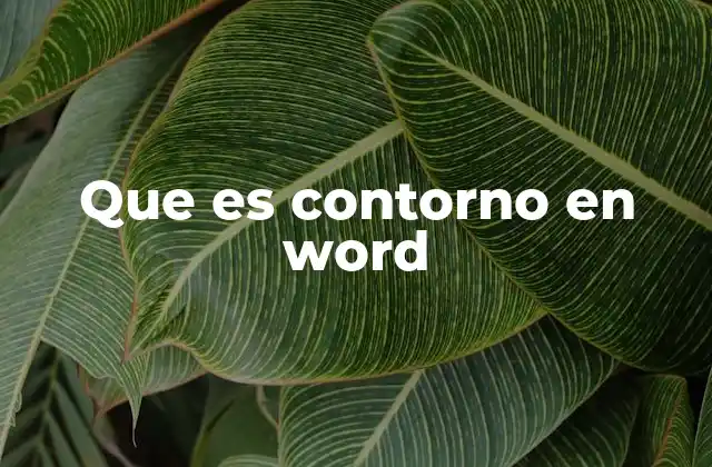 Que es Contorno en Word