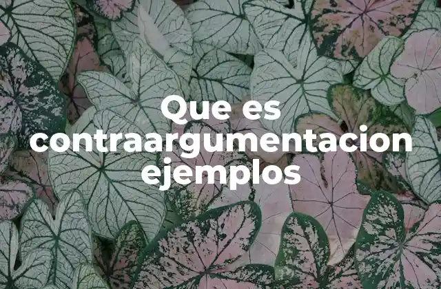Que es Contraargumentacion Ejemplos