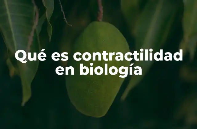 Qué es Contractilidad en Biología
