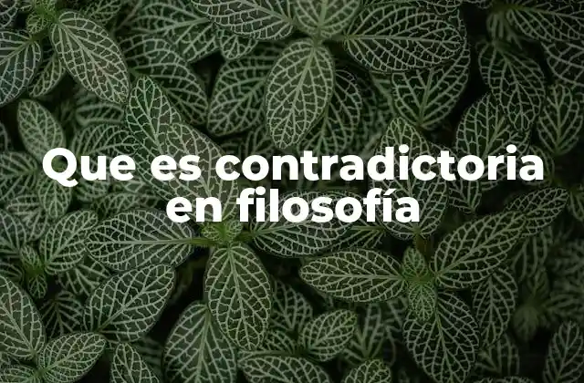 Que es Contradictoria en Filosofía