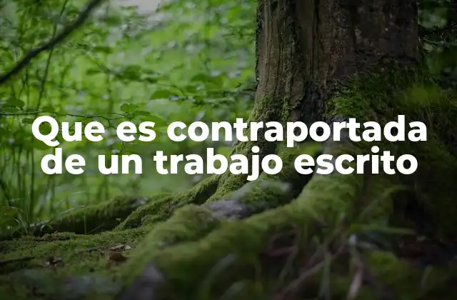 Que es Contraportada de un Trabajo Escrito