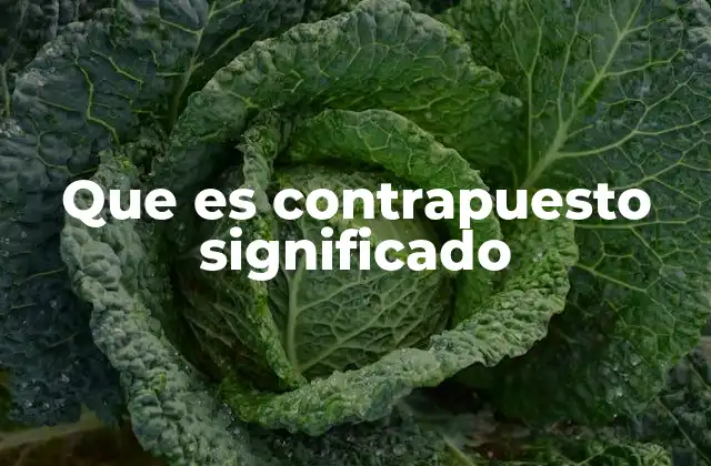 La importancia de los conceptos contrapuestos en el pensamiento crítico