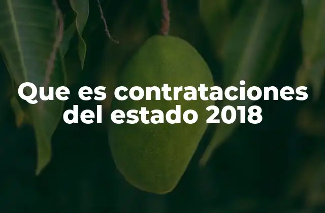 Que es Contrataciones Del Estado 2018