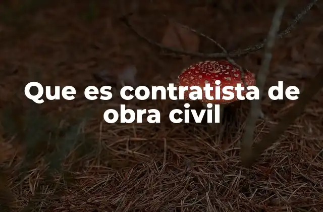 Que es Contratista de Obra Civil