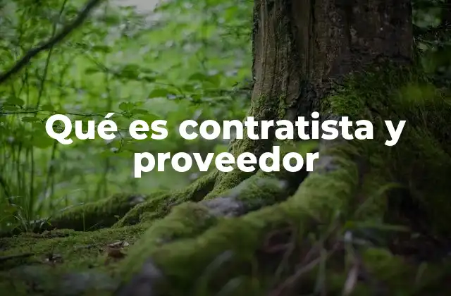 Qué es Contratista y Proveedor