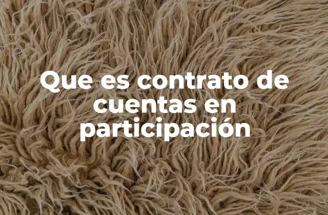 Que es Contrato de Cuentas en Participación 2 La importancia de los acuerdos financieros compartidos