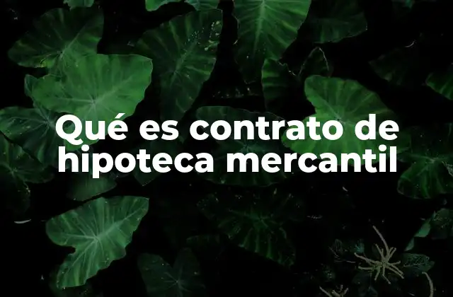 Qué es Contrato de Hipoteca Mercantil