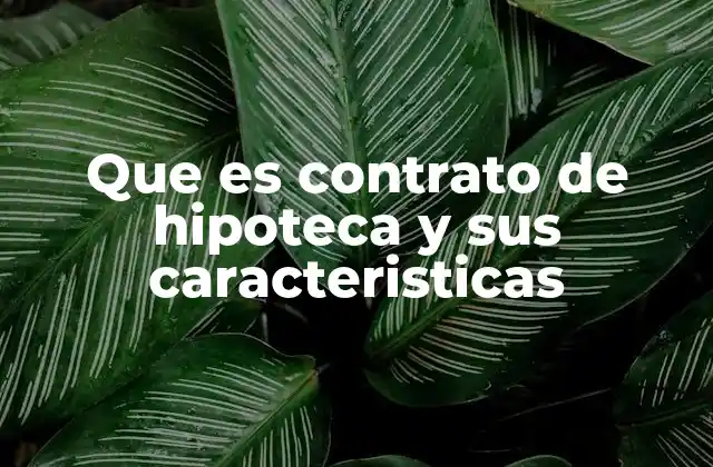 Que es Contrato de Hipoteca y Sus Caracteristicas